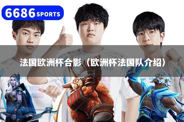 法国欧洲杯合影(欧洲杯法国队介绍)