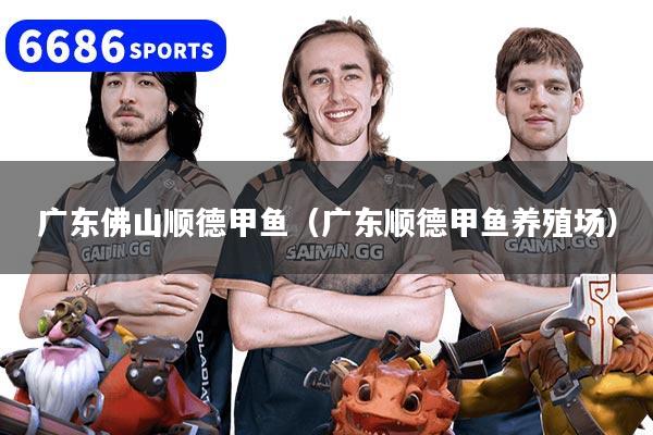 广东佛山顺德甲鱼(广东顺德甲鱼养殖场)